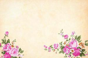 第1143章因?yàn)樗橇诛L(fēng)