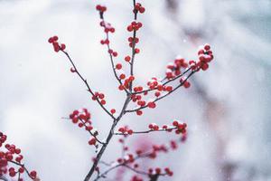第二十二章教訓(xùn)白子茹