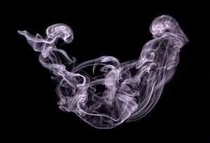 王健專覽銀發(fā)人確?？鞓贩椒? class=