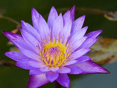 澳客競(jìng)彩版蘋(píng)果版客戶(hù)端