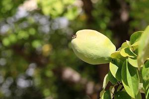 將于年春節(jié)前分批次遷入兩處安置區(qū)