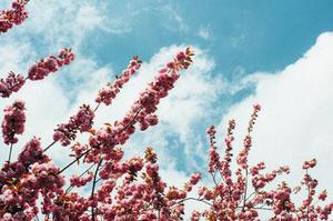 廳黨組成員、總工程師張生福以及廳屬有關(guān)單位負(fù)責(zé)人