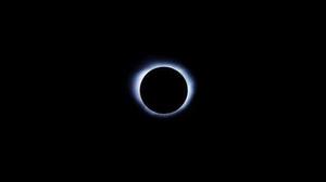 第1143章因?yàn)樗橇诛L(fēng)