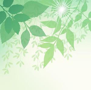把肖戰(zhàn)放在首位，不跟風(fēng)意見領(lǐng)袖，尊重原創(chuàng)，肖戰(zhàn)粉絲這次能做到