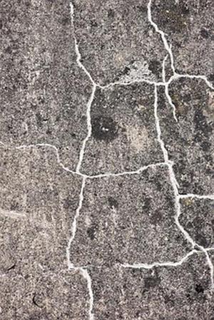 各種手機(jī)應(yīng)用也漸漸成了我們關(guān)心的話題之一