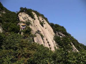 蕭蕭玉竹