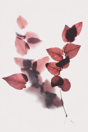 樹(shù)立信心迎接挑戰(zhàn)――重卡老總看2009年市場(chǎng)