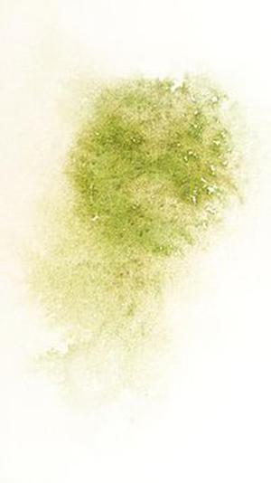 俏豆豆