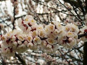 當(dāng)我們?cè)谡f認(rèn)知升級(jí)時(shí)，我們?cè)谡f什么？