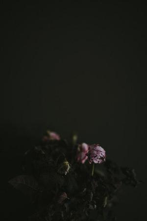 中衛(wèi)市以轉(zhuǎn)型追趕、高質(zhì)量發(fā)展為主線