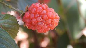 張?chǎng)?></a>
                <div   id=