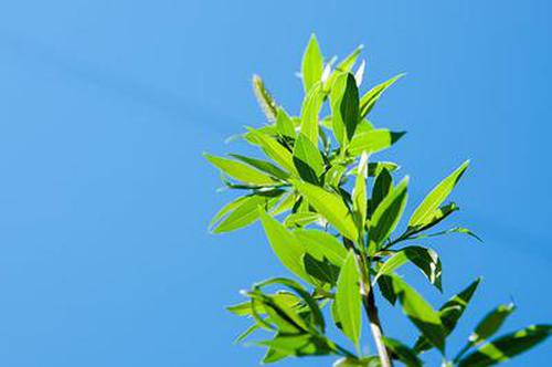 夠力七星彩獎表APP更新