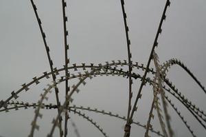 不同藥物治療頻發(fā)室早的臨床療效觀察