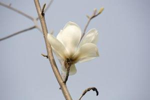 如果時(shí)光會(huì)說話