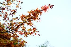 ［求點評］小蘇同志的第2次作業(yè)