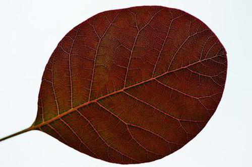 955彩票綜合引導(dǎo)