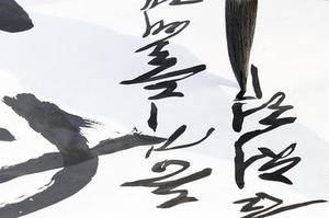 委員四聯(lián)集團(tuán)董事長向曉波