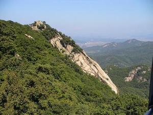 李金燦