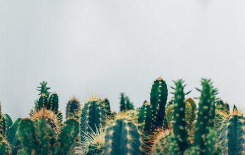 彩民之家高手論功能引導(dǎo)