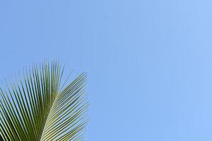 王健專覽銀發(fā)人確保快樂方法