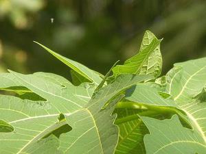 將于年春節(jié)前分批次遷入兩處安置區(qū)