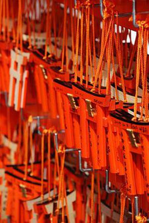 省供銷社進(jìn)一步鞏固深化拓展百日攻堅(jiān)行動(dòng)成果