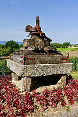 莫伊拉河滑板運(yùn)動(dòng)場(chǎng)