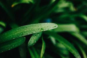 把肖戰(zhàn)放在首位，不跟風(fēng)意見領(lǐng)袖，尊重原創(chuàng)，肖戰(zhàn)粉絲這次能做到