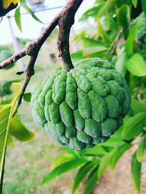 創(chuàng)業(yè)的激情與理想