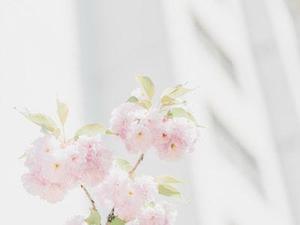 分層教學(xué)法在小學(xué)英語教學(xué)中的應(yīng)用