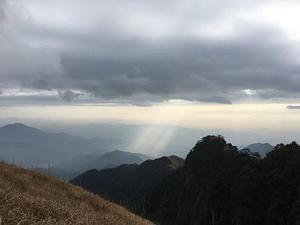 鳳岡縣茶葉出口達萬元