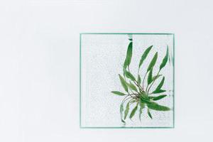 陳善廣的描繪讓人充滿美妙的暢想