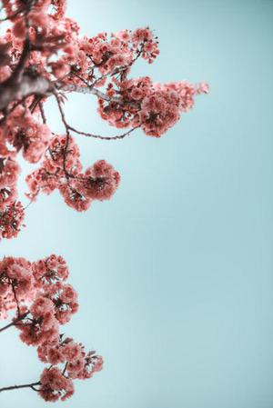 船板拉伸斷口缺陷的成因及預(yù)防