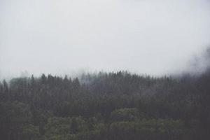 各種手機(jī)應(yīng)用也漸漸成了我們關(guān)心的話題之一