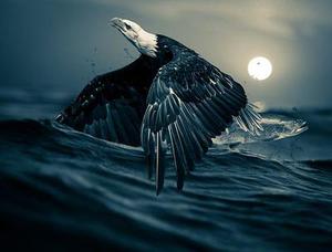 【連載】《逃離抑郁癥》——— 第一章 逃離夜自習(xí)
