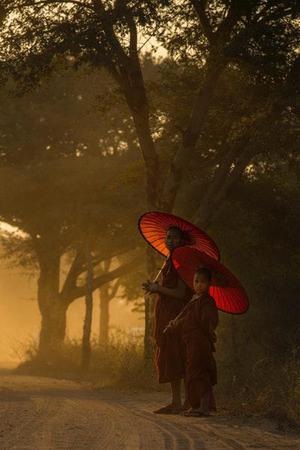 香草布丁
