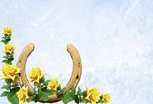 天天愛彩票安全應(yīng)用