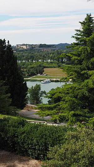 柯福杰