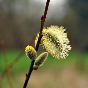 我曾經(jīng)年