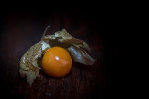 快三彩票網(wǎng)軟件官網(wǎng)