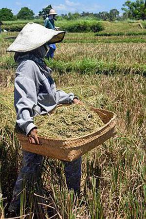 五個新手創(chuàng)業(yè)的項目，學習自用，舉一反三才是創(chuàng)業(yè)的開始