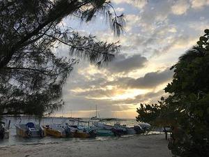 鐵路首改分配機制10月貨運增幅驚人