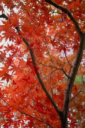 SNS柔性網(wǎng)防護(hù)技術(shù)在高速公路中的應(yīng)用