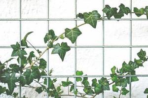 將于年春節(jié)前分批次遷入兩處安置區(qū)