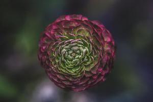第79章我們是奸商