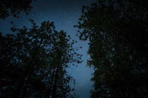 幻紫星空