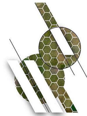 中衛(wèi)市以轉型追趕、高質量發(fā)展為主線
