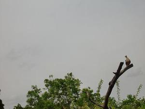 廳黨組成員、總工程師張生福以及廳屬有關(guān)單位負(fù)責(zé)人