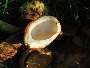 把肖戰(zhàn)放在首位，不跟風(fēng)意見(jiàn)領(lǐng)袖，尊重原創(chuàng)，肖戰(zhàn)粉絲這次能做到