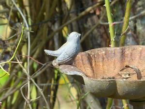 鳳岡縣茶葉出口達萬元